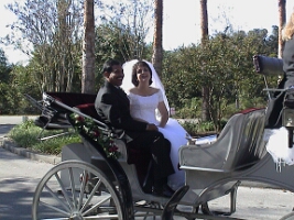 POTR-Weddings-12